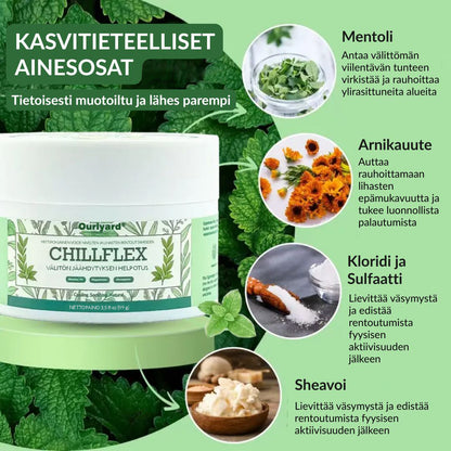 🔥Virallinen myymälä: Ourlyard® Chillflex Mint Kipua Lievittävä Voide (Hoito niveltulehdukseen, hermosärkyyn, reumasairauksiin, lihaskramppeihin, nykimisiin ja urheiluvammoihin)